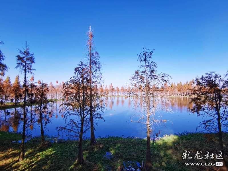 芜湖瑞泰首届技术展举办